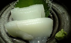 11171718_52887bece2c1a