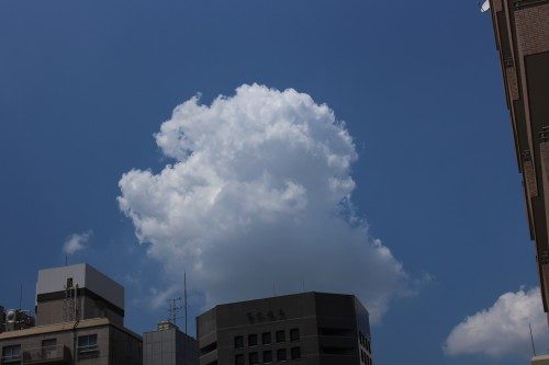 IMG_3606