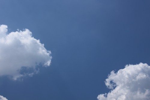 IMG_3609